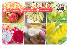 【2026年9月より順次発送】【3回定期便】沖縄フルーツ定期便（9・10・11月コース）｜フルーツ くだもの 果物 スターフルーツ ドラゴンフルーツ バナナ 名護パイン園 定期便 フルーツ定期便 沖縄フルーツ 先行予約 おきなわ 沖縄県 豊見城市(AC018)