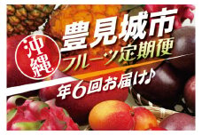 【6回定期便】人気！沖縄フルーツ定期便(年6回)｜フルーツ 果物 くだもの マンゴー キーツマンゴー アップルマンゴー パッションフルーツ スターフルーツ ドラゴンフルーツ バナナ 完熟 沖縄フルーツ 沖縄 沖縄県 豊見城市 人気 名護パイン園 定期便 送料無料(AC020)