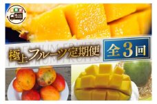 【2025年6月より順次発送】【3ヶ月定期便】豊見城 極上フルーツ定期便(6・7・8月コース)(AC022)