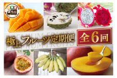 【6回定期便】豊見城 極上フルーツ定期便(全6回)｜フルーツ くだもの 果物 沖縄フルーツ マンゴー バナナ パッションフルーツ アテモヤ アップルマンゴー ドラゴンフルーツ キーツマンゴー 定期便 フルーツ定期便 沖縄県 豊見城市 人気 送料無料(AC023)