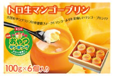 トロ生マンゴープリン(100ｇ×6個入り)(AC016-1)