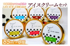 アイス アイスクリーム セット 8個 ( 6種 ) UD ICE CREAM 沖縄素材をアイスに使用(AN001-1)