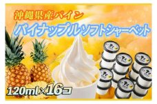 パインソフトシャーベット 120ml×16個 Rimo OKINAWA(BP001-1)