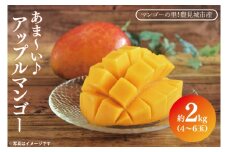 【2025年6月下旬より順次発送】マンゴーの里！豊見城市産♪あま〜い♪アップルマンゴー 約2kg(4～6玉)(家庭用)(BV007)