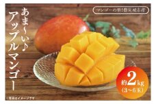 【2026年6月下旬より順次発送】マンゴーの里！豊見城市産♪あま〜い♪アップルマンゴー 約2kg(3～6玉)(家庭用)｜マンゴー アップルマンゴー フルーツ 果物 くだもの 先行予約 沖縄 おきなわ 沖縄県 豊見城市 先行予約(BV007-1)