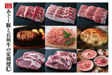 【6回定期便】あぐー豚と石垣牛の定期便C|肉 豚肉 牛肉 ロース 肩ロース あぐー豚 石垣牛 食べくらべ しゃぶしゃぶ 焼き肉ミンチ ハンバーグ とんかつ 定期便 沖縄県 豊見城市（AG021）