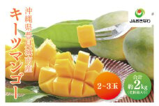 【2025年8月より順次発送】【先行予約】キーツマンゴー 2～3玉(約2kg)(化粧箱)｜沖縄県 豊見城市 マンゴー キーツマンゴー フルーツ 果物 くだもの おきなわマンゴー ギフト 贈り物 化粧箱入り 先行予約(AE015)