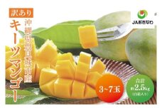 【2025年8月より順次発送】★訳あり★キーツマンゴー 3～7玉(約2.5kg)(白箱)ご家庭用｜沖縄県 豊見城市 訳あり わけあり 訳アリ キーツマンゴー マンゴー キーツ フルーツ 果物 くだもの おきなわマンゴー 家庭用(AE017)