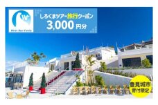 豊見城市】しろくまツアーで利用可能なWEB旅行クーポン(3,000円分)｜旅行 観光 ツアー トラベル 宿泊 ホテル 沖縄 沖縄旅行 海 おきなわ 豊見城市 1万円 10000円 人気 送料無料（CV001）