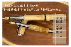 沖縄天然木の木軸万年筆｜ペン 万年筆 木 木軸 木材 木軸万年筆 特別 受注生産 職人 手作り ギフト 贈り物 文具 文房具 筆記用具 沖縄 沖縄県 豊見城市(CL003)
