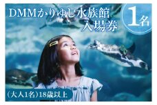 「DMMかりゆし水族館」入場券 大人1名(18歳以上)｜水族館 入場券 チケット 旅行 観光 沖縄旅行 沖縄 おきなわ 豊見城市(DG001)
