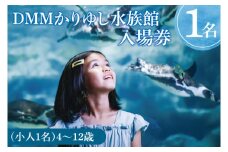 「DMMかりゆし水族館」入場券 小人1名(4～12歳)｜水族館 入場券 チケット 旅行 観光 沖縄旅行 沖縄 おきなわ 豊見城市(DG003)