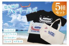 豊見城市ハーリーグッズセット｜ハーリー グッズ Tシャツ バッグ トートバッグ マグネット キーホルダー ファイル クリアファイル セット 海 伝統 沖縄 おきなわ 豊見城市(BQ004)