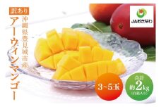 【2026年6月より順次発送】【訳あり】菜々色畑のアーウィンマンゴー 3～5玉(約2kg)【白箱】 ご家庭用｜マンゴー アーウィンマンゴー アーウィン フルーツ 果物 くだもの おきなわマンゴー おきなわ 沖縄県 豊見城市 家庭用(AE011)
