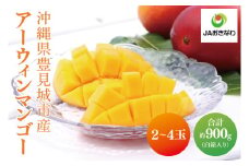 【2025年6月より順次発送】アーウィンマンゴー 2～4玉(約900g)【白箱】 ご家庭用｜マンゴー アーウィンマンゴー アーウィン フルーツ 果物 くだもの おきなわマンゴー おきなわ 沖縄県 豊見城市 家庭用(AE013)