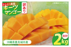 【2025年8月より順次発送】★訳あり★沖縄県豊見城市産キーツマンゴー 約2kg｜マンゴー キーツマンゴー 訳あり わけあり フルーツ くだもの 果物 数量限定 おきなわ 沖縄 沖縄フルーツ 豊見城市(DJ004)