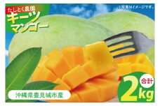 【2025年発送】沖縄県豊見城市産キーツマンゴー 約2kg｜マンゴー キーツマンゴー フルーツ くだもの 果物 数量限定 おきなわ 沖縄 沖縄フルーツ 沖縄県 豊見城市(DJ003)