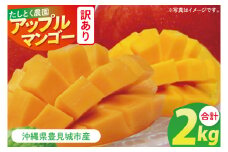 ★訳あり★沖縄県豊見城市産アップルマンゴー 約2kg｜マンゴー アップルマンゴー 訳あり わけあり フルーツ くだもの 果物 数量限定 おきなわ 沖縄 沖縄フルーツ 豊見城市(DJ002)