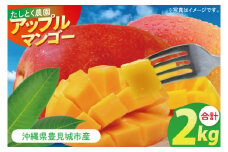 沖縄県豊見城市産アップルマンゴー 約2kg｜マンゴー アップルマンゴー フルーツ くだもの 果物 数量限定 おきなわ 沖縄 沖縄フルーツ 豊見城市(DJ001)