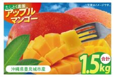 沖縄県豊見城市産アップルマンゴー 約1.5kg｜マンゴー アップルマンゴー フルーツ くだもの 果物 数量限定 おきなわ 沖縄 沖縄フルーツ 豊見城市(DJ005)
