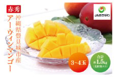 【2026年6月より順次発送】菜々色畑の赤秀アーウィンマンゴー 3～4玉(約1.5kg)(化粧箱)｜沖縄県 豊見城市 マンゴー アーウィンマンゴー フルーツ 果物 くだもの おきなわマンゴー ギフト 贈り物 化粧箱入り 先行予約(AE003)
