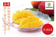 赤秀アーウィンマンゴー 大玉2玉(4L)(化粧箱入り)｜沖縄県 豊見城市 マンゴー アーウィンマンゴー 大玉 フルーツ 果物 くだもの おきなわマンゴー ギフト 贈り物 化粧箱入り(AE005)