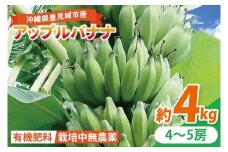 アップルバナナ 約4kg｜バナナ ばなな アップルバナナ フルーツ くだもの 果物 沖縄フルーツ 有機肥料 沖縄 沖縄県 豊見城市(DL003)