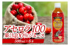 アセロラ100 ストレート100%ジュース(500ml×6本)｜アセロラ フルーツ 果物 くだもの アセロラジュース ジュース フルーツジュース ストレート 果汁 沖縄県 おきなわ 豊見城市(AD002-1)