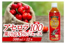 アセロラ100 ストレート100%ジュース(500ml×12本)｜アセロラ フルーツ 果物 くだもの アセロラジュース ジュース フルーツジュース ストレート 果汁 沖縄県 おきなわ 豊見城市(AD003)