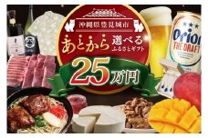 ★あとから選べる★沖縄県豊見城市ふるさとギフト 寄附額：25万円分｜沖縄県 沖縄 豊見城市 ふるさと納税 あとから選べる 選べる ホテル 旅行 観光 フルーツ 果物 マンゴー 海 コース 人気 送料無料 提案型(CK009)
