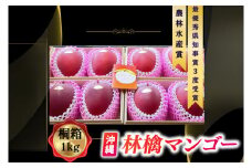 【2026年6月下旬より順次発送】★数量限定★沖縄県最優秀県知事賞に3度輝いた！★桐箱★沖縄マンゴー大玉 約1kg(約500g×2玉)｜マンゴー フルーツ 果物 くだもの 先行予約 贈り物 プレゼント お土産 ギフト 贈答用 沖縄 おきなわ 沖縄県 豊見城市(BV004)