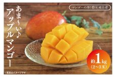【2026年6月下旬より順次発送】マンゴーの里！豊見城市産♪あま〜い♪アップルマンゴー 約1kg(2〜3玉)(家庭用)｜マンゴー アップルマンゴー フルーツ 果物 くだもの 沖縄 おきなわ 沖縄県 豊見城市 先行予約(BV010-1)