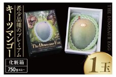 【2026年8月より順次発送】【THE Dinosaur Egg】プレミアムキーツマンゴー 1玉(約750g以上)｜マンゴー キーツマンゴー フルーツ 果物 くだもの 先行予約 贈り物 プレゼント お土産 ギフト 沖縄 おきなわ 沖縄県 豊見城市(BV013)