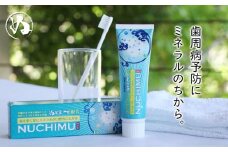 「薬用歯磨きNUCHIMU（ヌチム）」沖縄の海塩ぬちまーす配合×1本