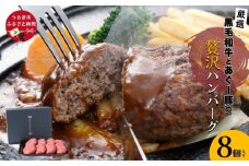 黒毛和牛とあぐー豚の贅沢ハンバーグ　8個入り