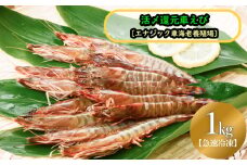 活〆還元車えび（急速冷凍・1Kg）【エナジック車海老養殖場】