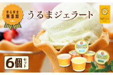 うるまジェラート　6個セット