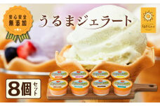 うるまジェラート　8個セット