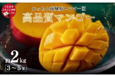 高品質マンゴー　秀品　約2kg（3～5玉）【かっちん南風原マンゴー園】【 先行予約 2026年発送 】