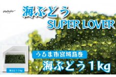 海ぶどうSuperLover　大容量1kgパック【2025年4月より順次発送】