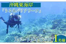 沖縄東海岸「うるまバリアリーフ」で2ボートダイビング（1名様）
