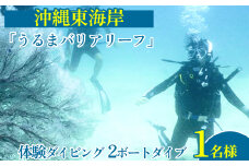沖縄東海岸「うるまバリアリーフ」で体験ダイビング　（1名様）