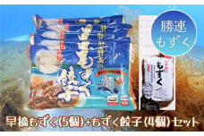 早摘みもずく（5袋）&もずく餃子（12個入×4袋）セット【勝連漁業協同組合】