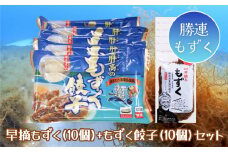 早摘みもずく（10袋）＆もずく餃子（12個入×10袋）セット【勝連漁業協同組合】