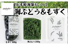 【お手軽沖縄海藻セット】海ぶどう（200g）＆もずく（500g）【2025年4月より順次発送】