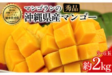 【 先行予約 2026年発送 】秀品 2kg 沖縄県産 マンゴー 2キロ 国産 完熟マンゴー 果物 南国 くだもの フルーツ 完熟 夏 旬 特産品 沖縄 取り寄せ 産地直送 農家直送 甘い 濃厚 うるま市 マンゴラン