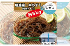 【嘉保水産】勝連産・太もずく（塩蔵タイプ）約5kg　プラスチック容器入り