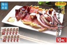 【7月〜順次発送】肉厚トビイカの天日干し　10枚セット【海市水産から直送】