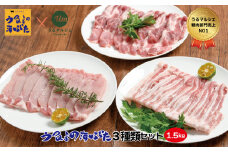 うるまの海ぶた　3種類セット（計1.5kg）