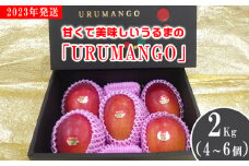 甘くて美味しい「URUMANGO」2Kg（4～6個）2023年発送